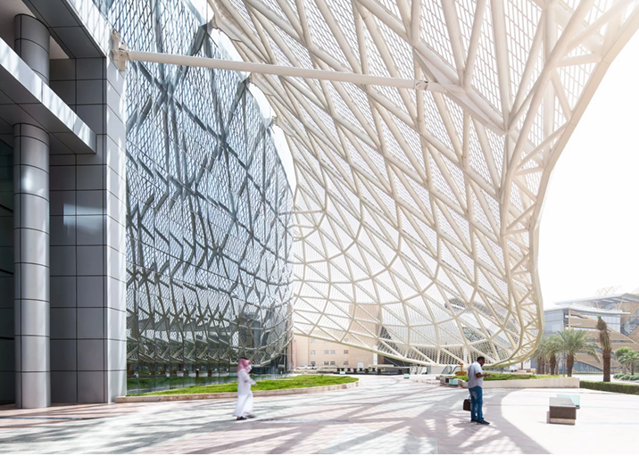 Training & Development